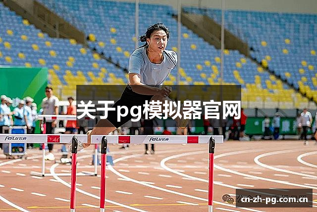 关于pg模拟器官网